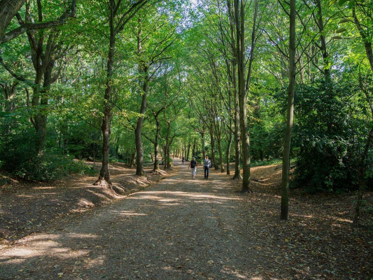 Apartament Bright West Hampstead Retreat Londyn Zewnętrze zdjęcie